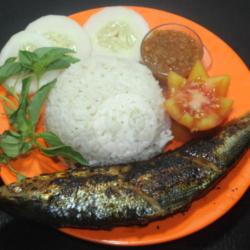 Lalapan Ikan Bolu Bakar  Nasi