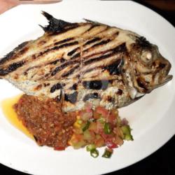 Ikan Kuwe / Bobara Bakar