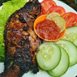 Nila Merah Bakar