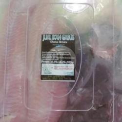 Fillet Ikan Gabus