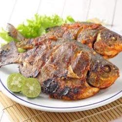 Bawal Bakar Bumbu