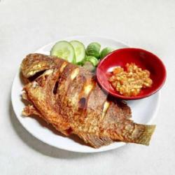 Nila Goreng   Tempe