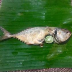 Ikan Peda Goreng