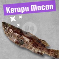 Kerapu Macan Bakar