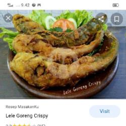 Lele Goreng Lalapan Nasi Uduk