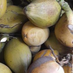 Kelapa Muda Isi Tipis
