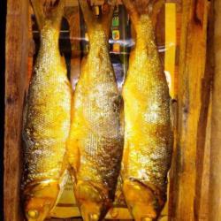 Paket Murah Bandeng Presto Sedang 5