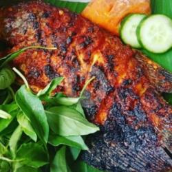 Gurame Bakar Rica Rica