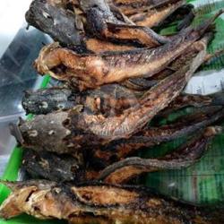 Ikan Lele Goreng Kering