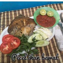 Paket - Nasi Pecel Ikan Bawal