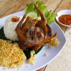 Paket Nasi Burung Dara