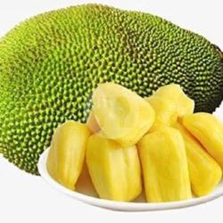 Degan Nangka