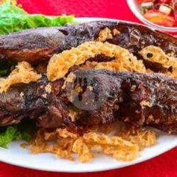 Lele Bakar Kremes Tanpa Nasi