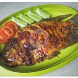 Ikan Mas Bakar