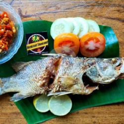 Paket Nasi Kakap Merah Goreng Ukuran Sedang