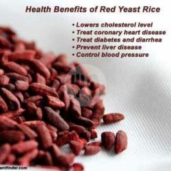 Nasi Merah Mix Organik / Organic Red Rice