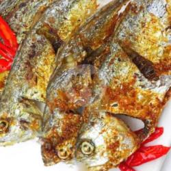 Ikan Kembung 1 Ekor