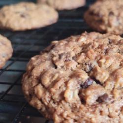 Rolly Ollie- Oatmeal Chocolate Chip Cookie