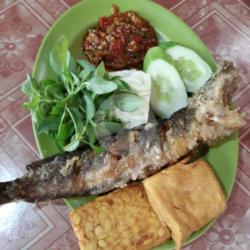 Nasi Ikan Lele Goreng Keremes Tahu Tempe