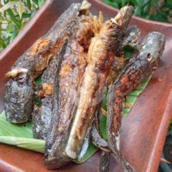 Nasi Campur Pecel Tumpang Lodeh Ikan Lele