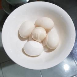 Telur Ayam Negeri