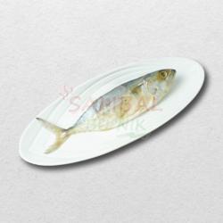 Ikan Asin Peda Putih