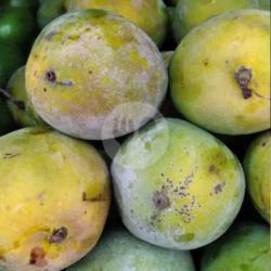 Mangga Arumanis Bali 1kg