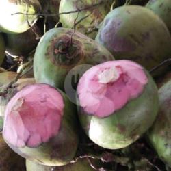 Degan Ijo Asli (per Buah)