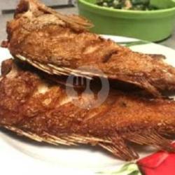 Ikan Sunu Goreng Biasa