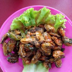 Kerang(ijoan)