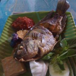 Lalapan Nila   Nasi