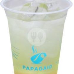 Mango Mint 16 Oz