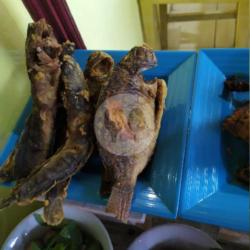 Nasi Nila Goreng Kuah Pindang