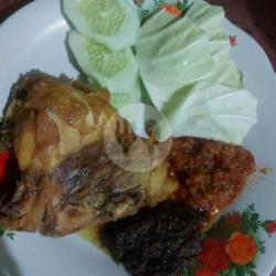 Ayam Dada Bawah Polos