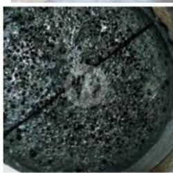 Terang Bulan Black Forest