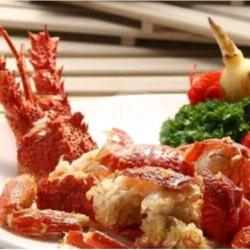 Udang Lobster (laut) Size M