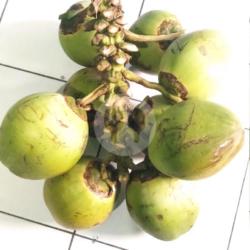 Kelapa Obat Utuh