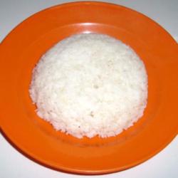 Nasi Punel