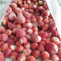 Buah Strawberry Super Frozen