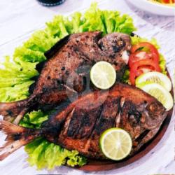 Paket Ikan Bawal Hitam Tawar Bakar