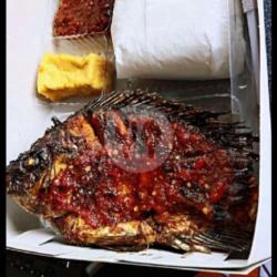 Paket Gk Nila Bakar   Tahu   Tempe   Dadar   Sambal