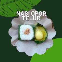 Nasi Opor Telur