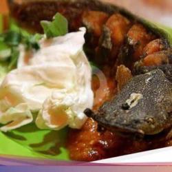 Nasi Bakar   Lele Goreng Sambal Terasi)