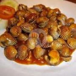 Kerang Dara Balado