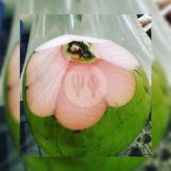 Kelapa Muda Hijau Asli / Degan Ijo Asli