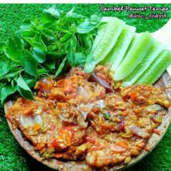 Sambal Teri