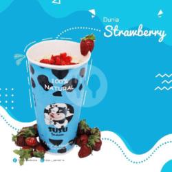 Dunia Strawberry L