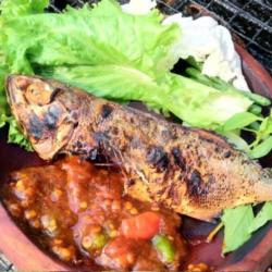 Ikan Asin Peda Bakar   Nasi