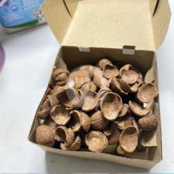 Cappucino Choco Crunch