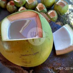 Kelapa Muda Super   Gula